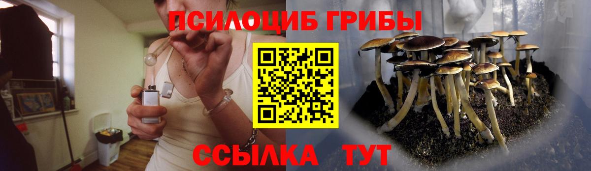 Галлюциногенные грибы Magic Shrooms  Вход с VPN  Галлюциногенные грибы Psilocybe  Туймазы 